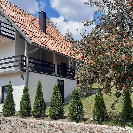 Vila Kuca Sa Pogledom Na Tornik Zlatibor Exteriér fotografie